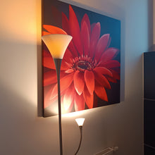 Laden Sie das Bild in den Galerie-Viewer, Vayo Deckenstrahler/Stehlampe/Leselampe*