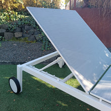 Laden Sie das Bild in den Galerie-Viewer, Stern Robin Rolliege
