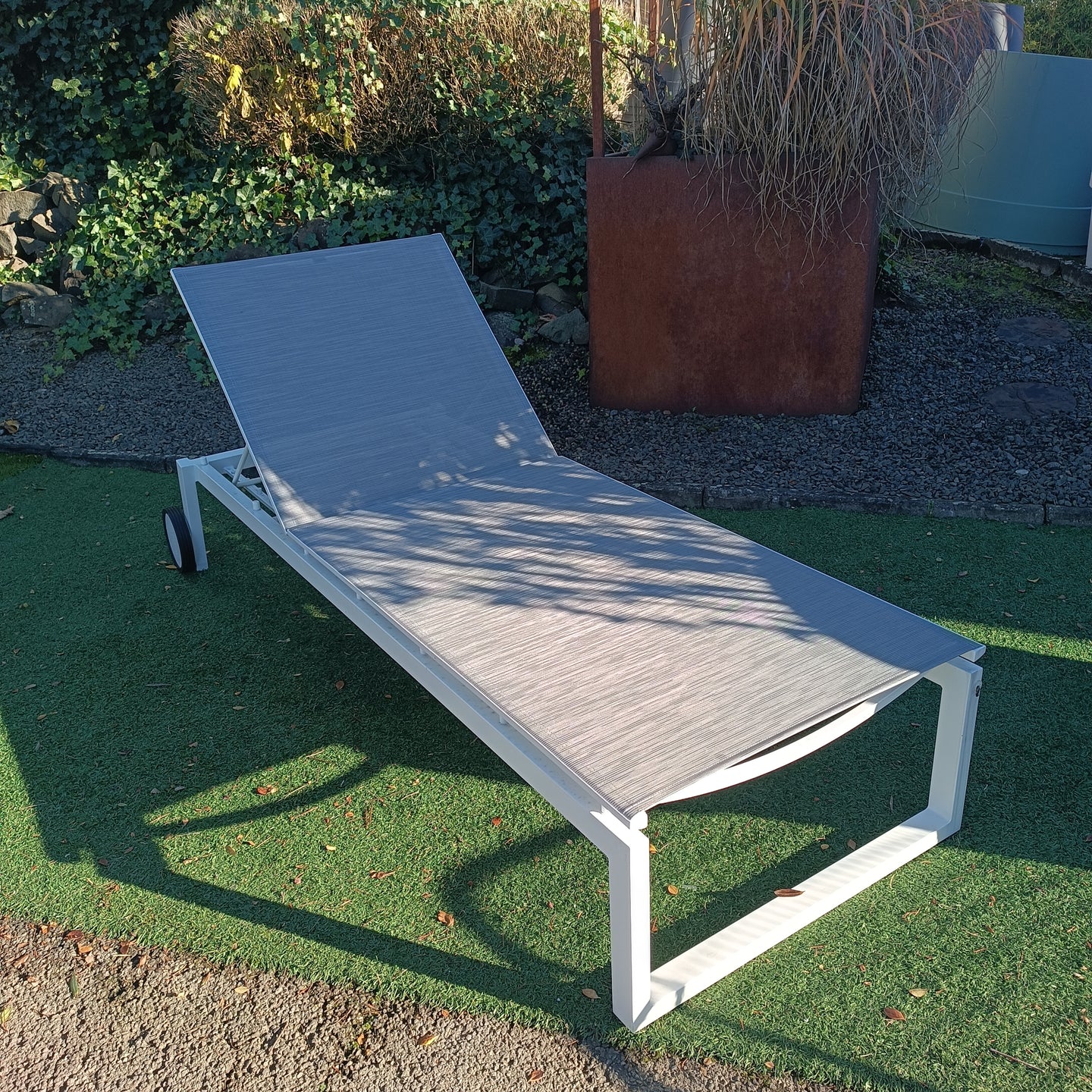 Stern Robin Rolliege