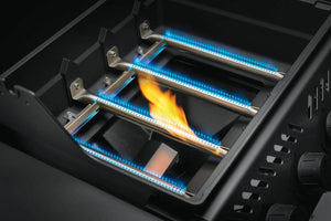 NAPOLEON Gasgrill Freestyle 425 SIB -OVP 10 -